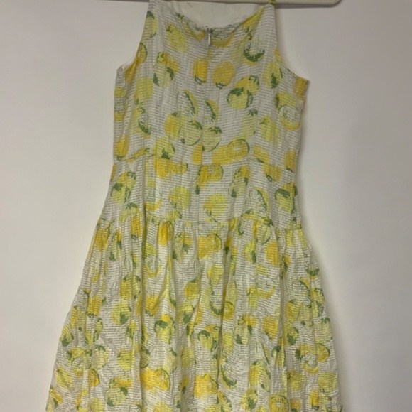 Lemon print dress Ann Taylor SZ 4 sheer banded waist retro full skirt whimsical - Picture 5 of 12
